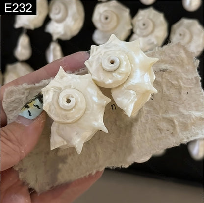 Nautilus Luster Stud - E232